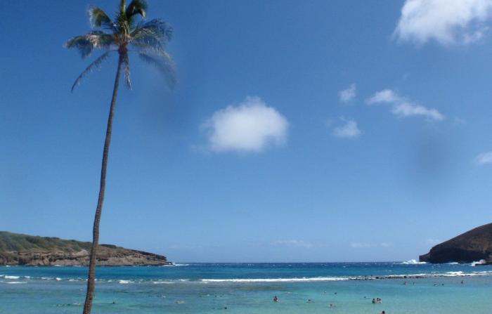 La historia de la humanidad contada por los océanos