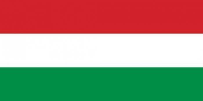 "Los cojones": El gráfico de la UE sobre los españoles que muy pocos se creen