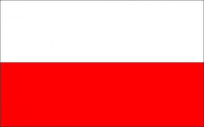 "Los cojones": El gráfico de la UE sobre los españoles que muy pocos se creen