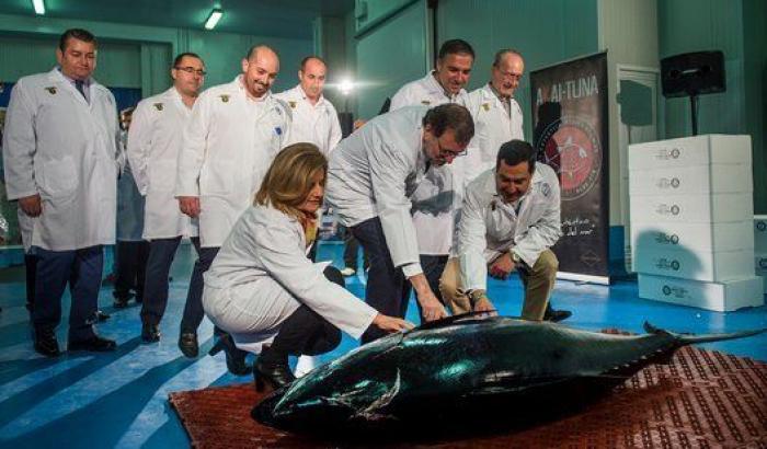 Rajoy se reunirá con Iglesias y Rivera el próximo martes en el Congreso