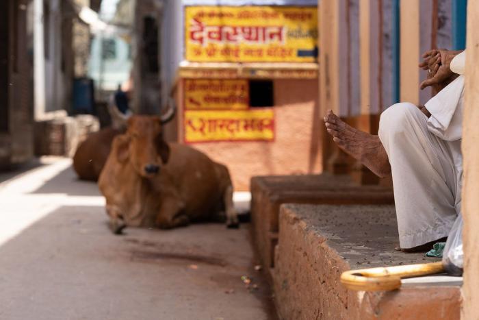 Jugar al bádminton en la ciudad de la muerte