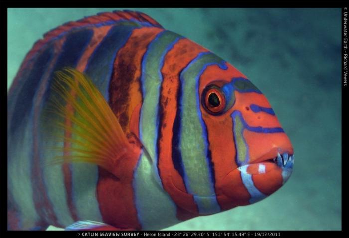 Efectos del cambio climático: la ONU prevé más sequías, inundaciones e incendios forestales en Europa