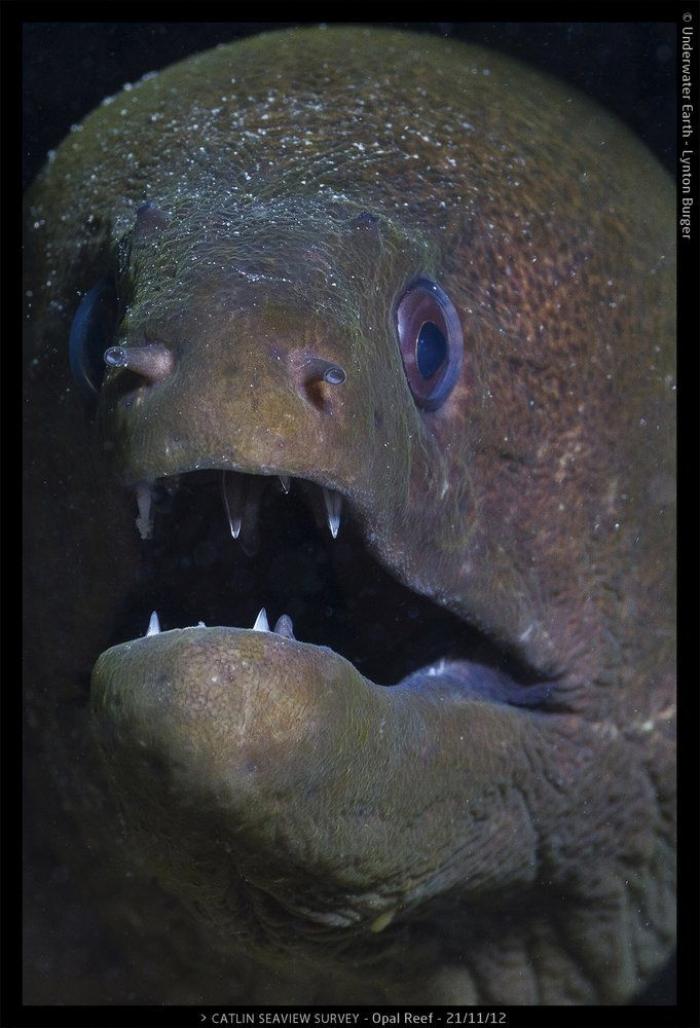 Efectos del cambio climático: la ONU prevé más sequías, inundaciones e incendios forestales en Europa