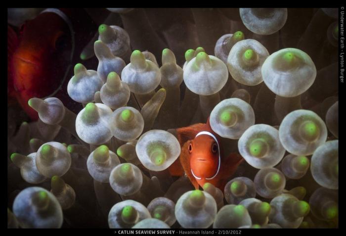 Efectos del cambio climático: la ONU prevé más sequías, inundaciones e incendios forestales en Europa