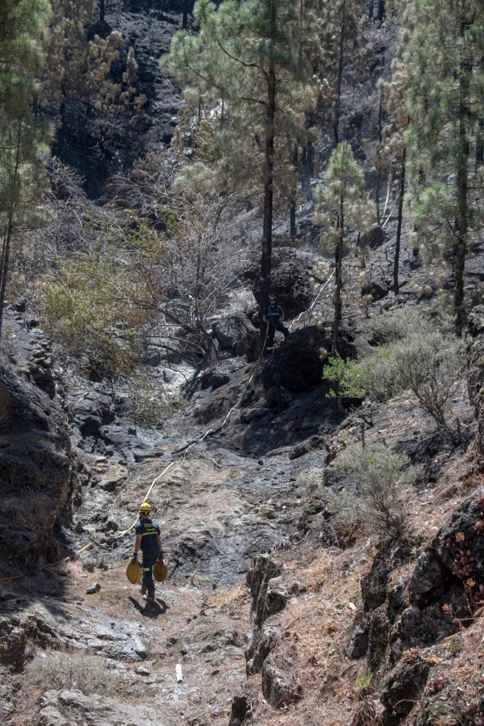 Bibiana Fernández, desolada ante la foto más dura: "Escandaloso"
