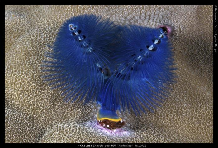 Efectos del cambio climático: la ONU prevé más sequías, inundaciones e incendios forestales en Europa