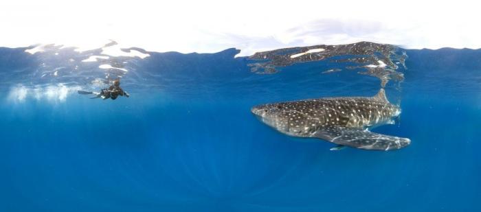 Efectos del cambio climático: la ONU prevé más sequías, inundaciones e incendios forestales en Europa