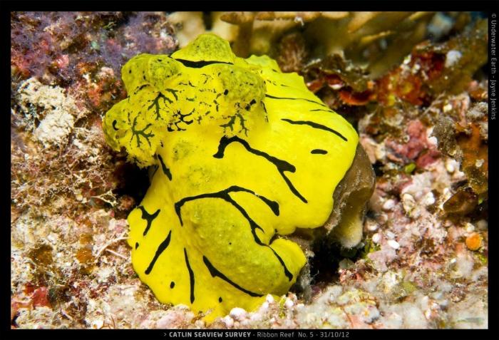 Efectos del cambio climático: la ONU prevé más sequías, inundaciones e incendios forestales en Europa