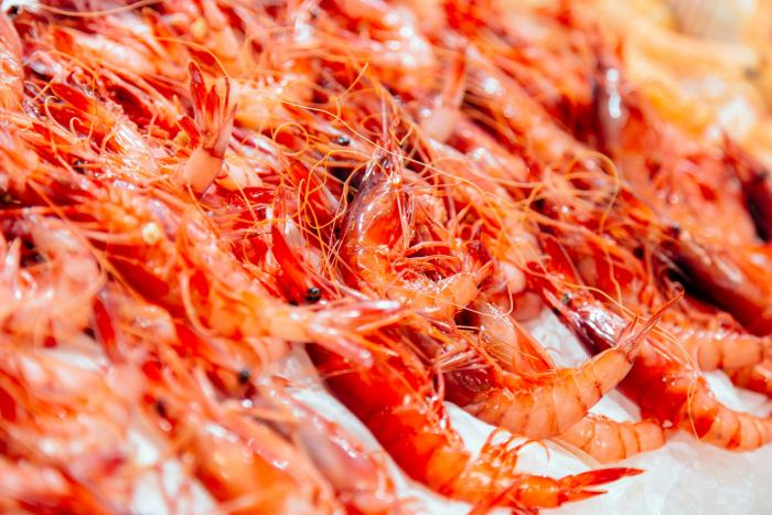 Alberto Garzón responde a este tuit de Ayuso sacando a relucir la foto más criticada