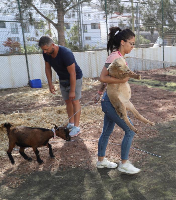 Ernesto Sevilla borra una publicación en Instagram tras esta respuesta a un usuario