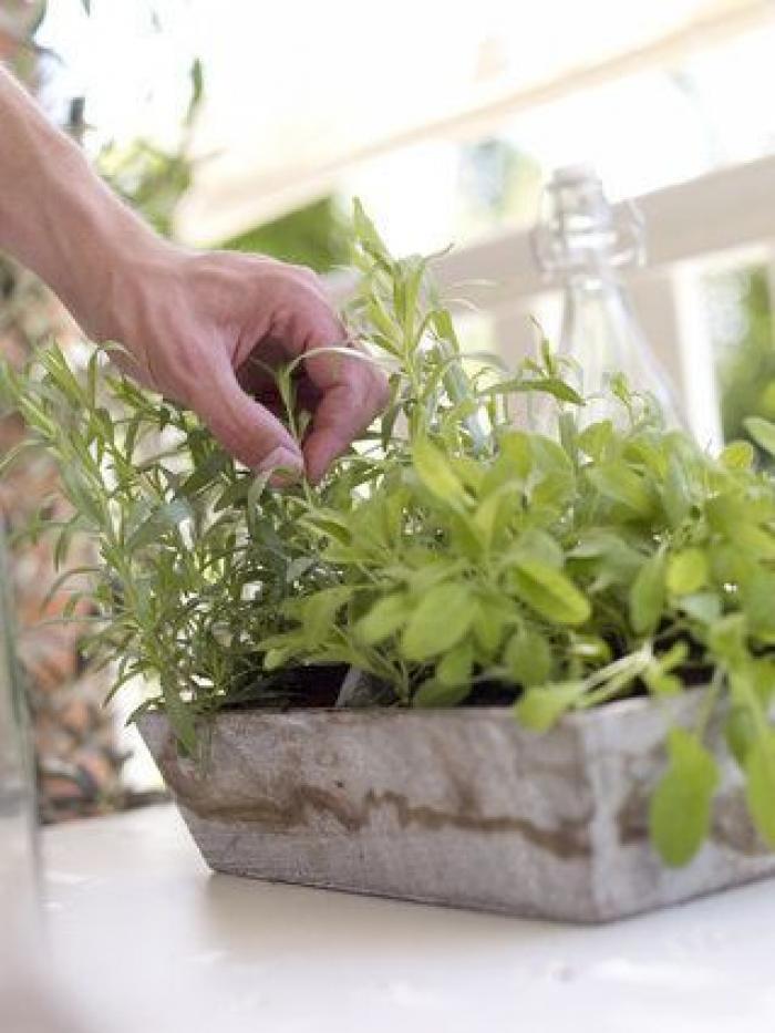 Cerveza para limpiar o para el cuidado personal: ocho usos alternativos de esta bebida (FOTOS)