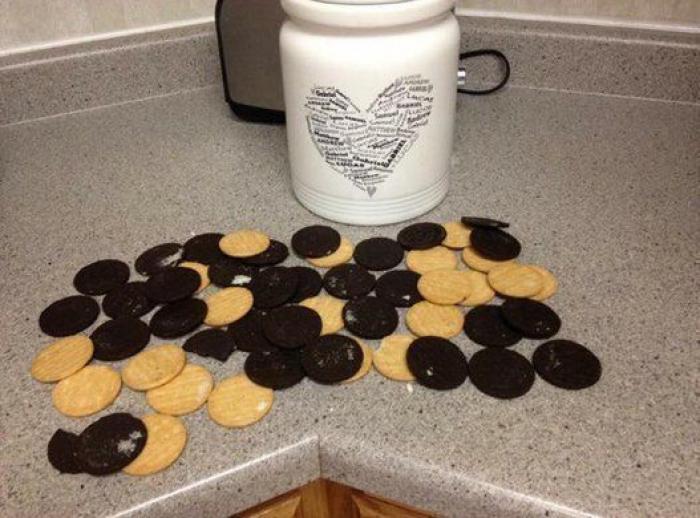 51 fotos que demuestran que el momento de irse a la cama es una auténtica pesadilla