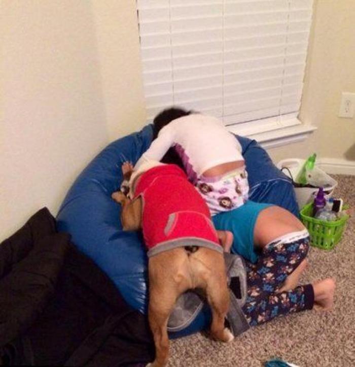 51 fotos que demuestran que el momento de irse a la cama es una auténtica pesadilla