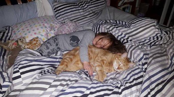 51 fotos que demuestran que el momento de irse a la cama es una auténtica pesadilla