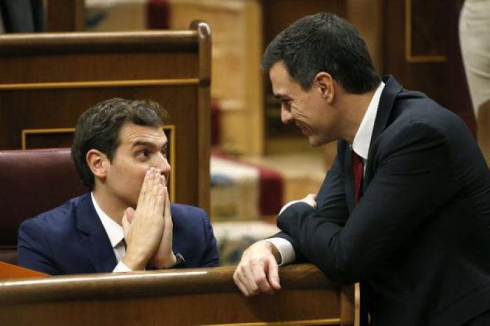 ¿Cómo han vivido los diputados novatos esta brevísima legislatura?