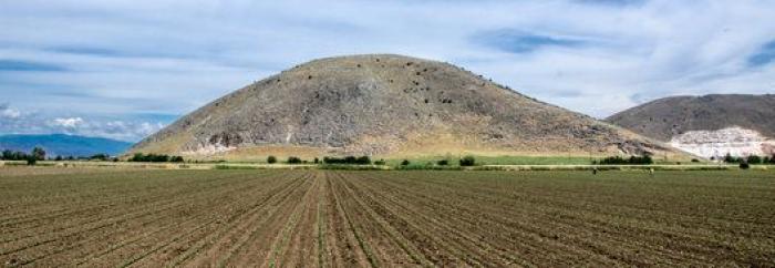 La ciencia más rara, curiosa y extraordinaria de 2016