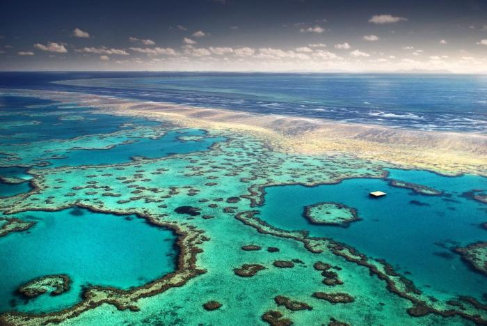 Guterres pide a los líderes mundiales actuar contra el cambio climático para "dejar de cavar nuestra propia tumba"