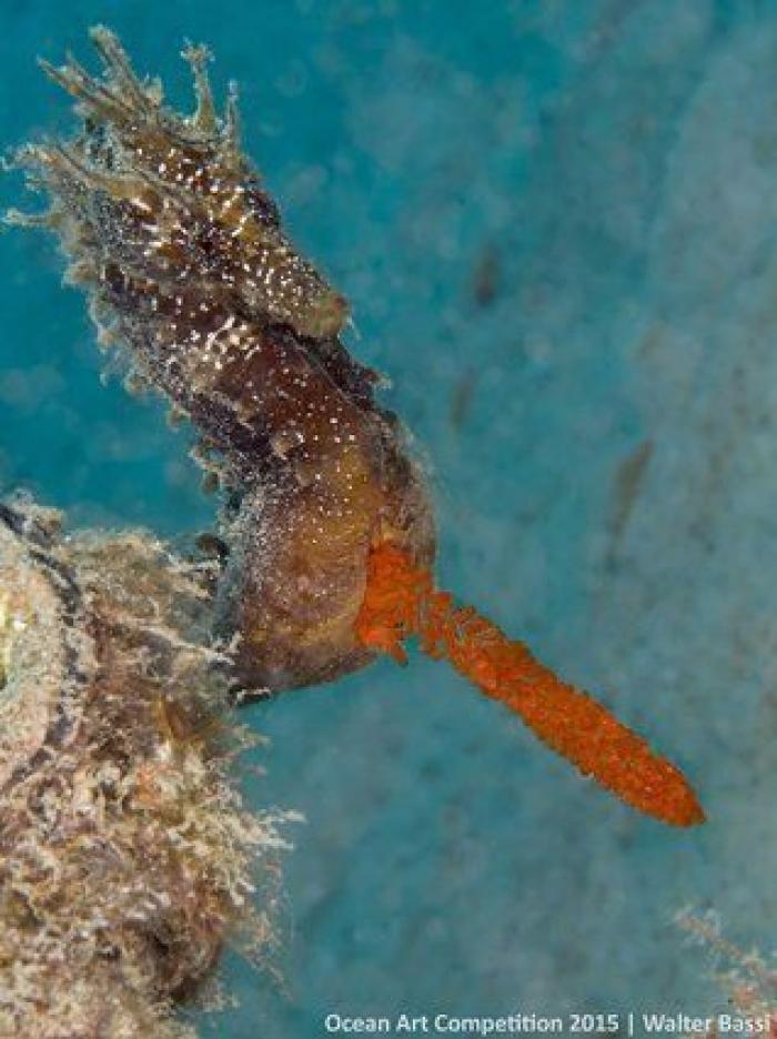 La caótica belleza del océano capturada en estas 15 impresionantes fotografías