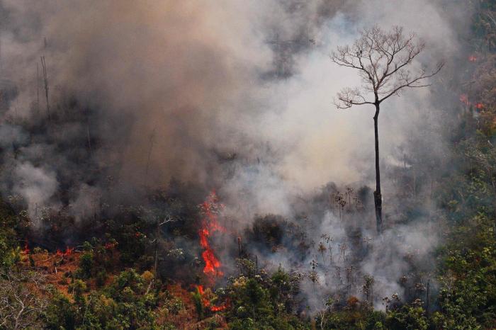 Brasil, dispuesto a recibir el dinero para la Amazonia, pero sólo si maneja cada céntimo