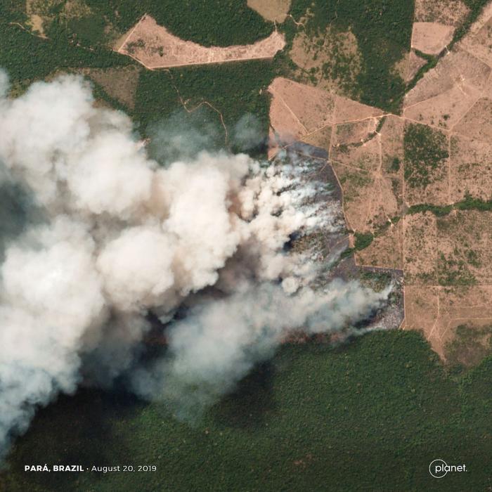 Brasil, dispuesto a recibir el dinero para la Amazonia, pero sólo si maneja cada céntimo