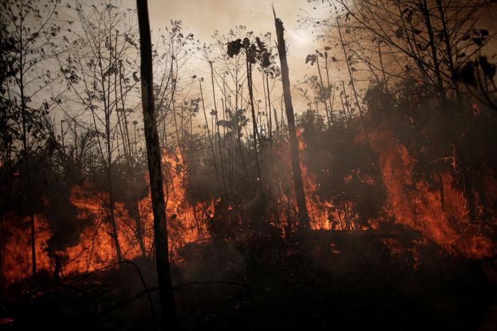 Brasil, dispuesto a recibir el dinero para la Amazonia, pero sólo si maneja cada céntimo