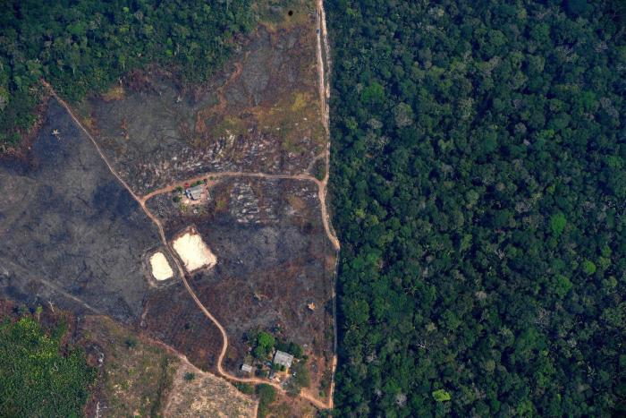 Brasil, dispuesto a recibir el dinero para la Amazonia, pero sólo si maneja cada céntimo