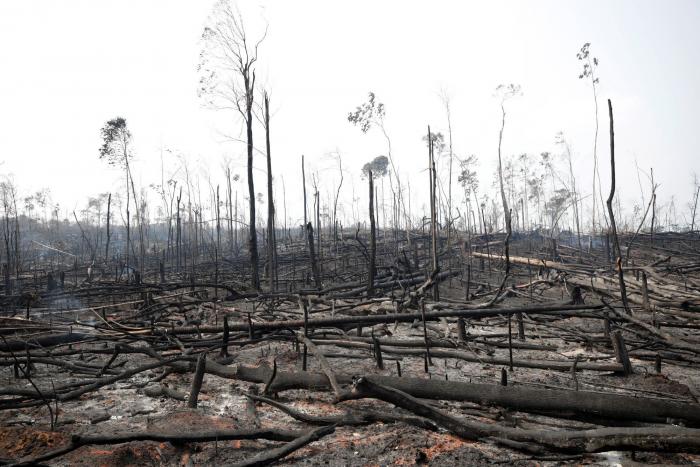 Brasil, dispuesto a recibir el dinero para la Amazonia, pero sólo si maneja cada céntimo