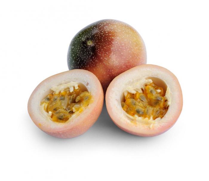 El Gobierno de EEUU niega la renovación del pasaporte a hispanos estadounidenses en la frontera