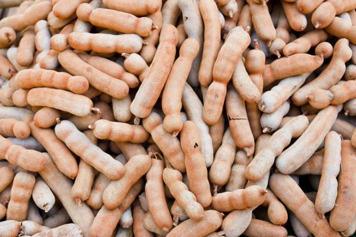 El Gobierno de EEUU niega la renovación del pasaporte a hispanos estadounidenses en la frontera