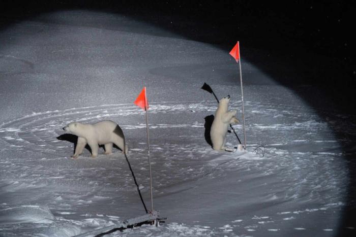 Cómo es informar en tiempos de coronavirus