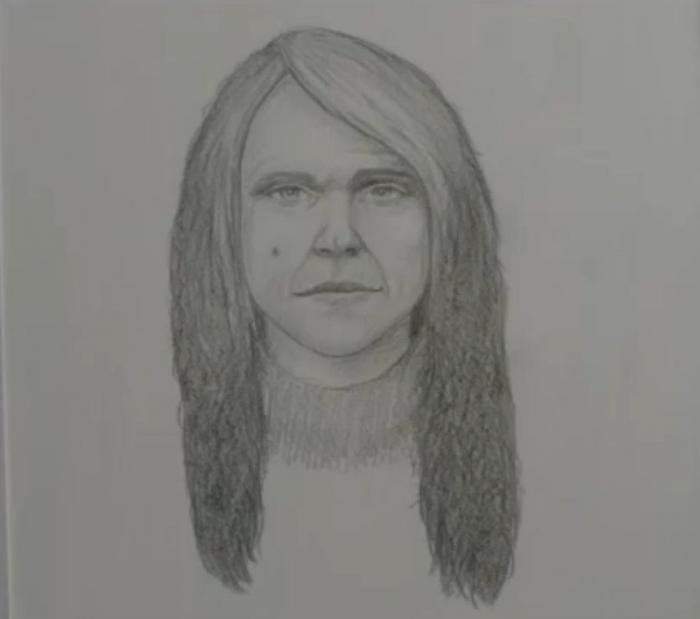 Retratos robot de personajes de libros: ¿cómo serían Drácula, Lisbeth Salander o Christian Grey?