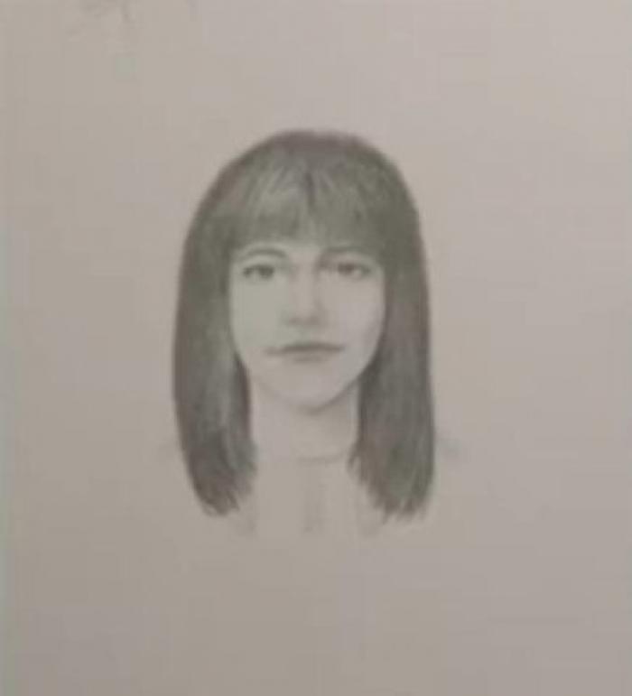 Retratos robot de personajes de libros: ¿cómo serían Drácula, Lisbeth Salander o Christian Grey?