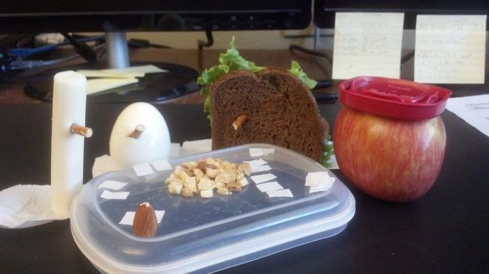 7 webs para reírse un rato (FOTOS)