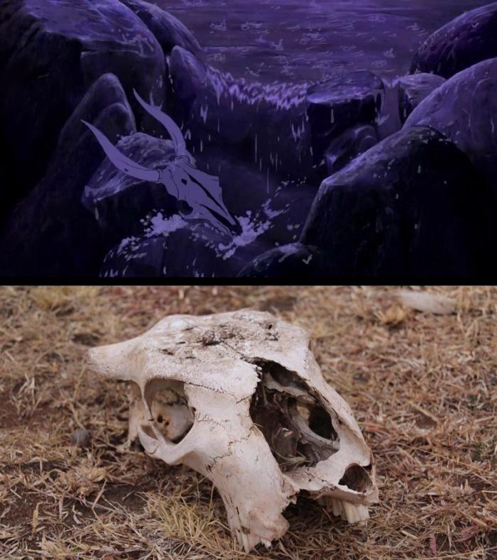 Estos son Simba y Mufasa, de 'El rey león', en la vida real (FOTOS)