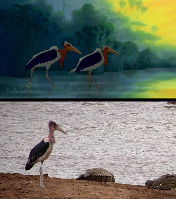 Estos son Simba y Mufasa, de 'El rey león', en la vida real (FOTOS)