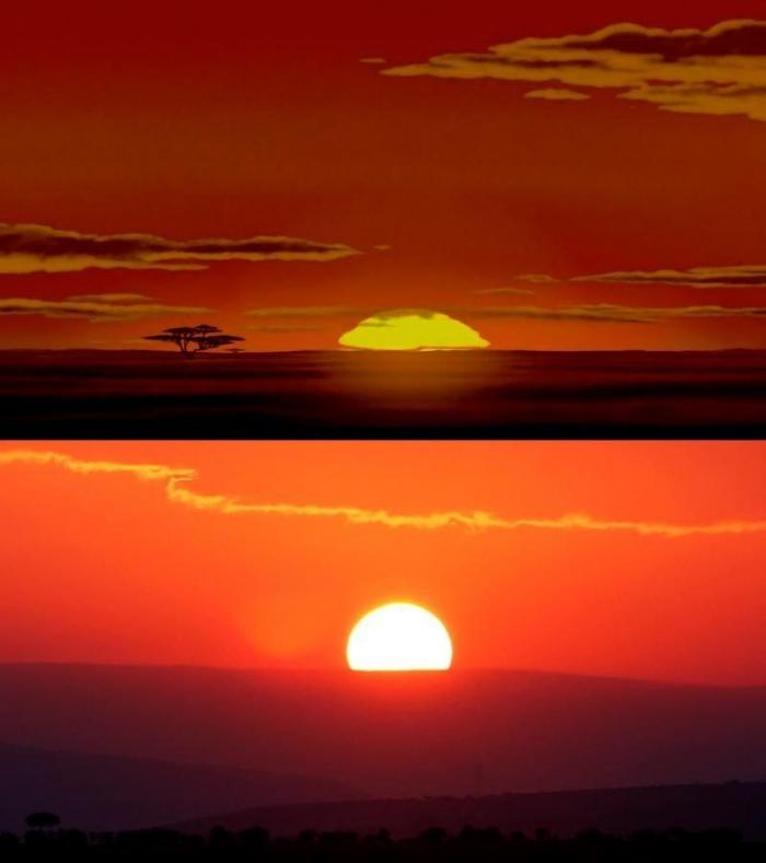 Estos son Simba y Mufasa, de 'El rey león', en la vida real (FOTOS)