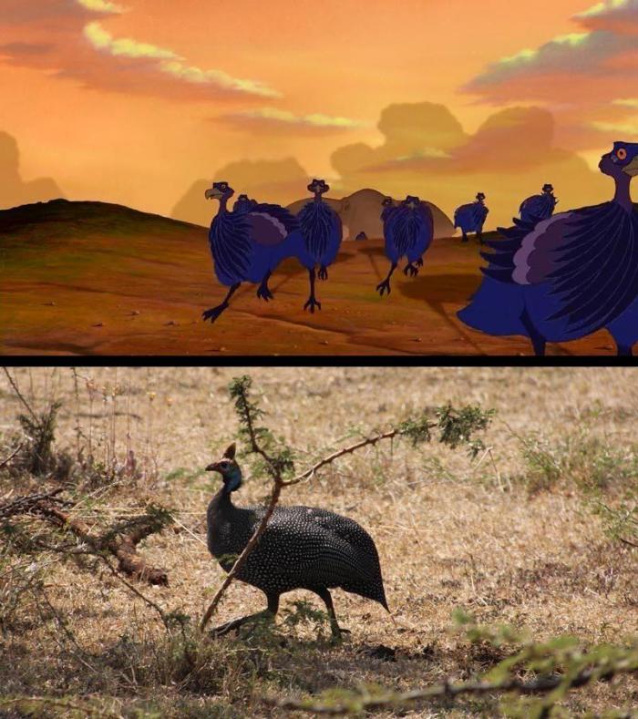 Estos son Simba y Mufasa, de 'El rey león', en la vida real (FOTOS)