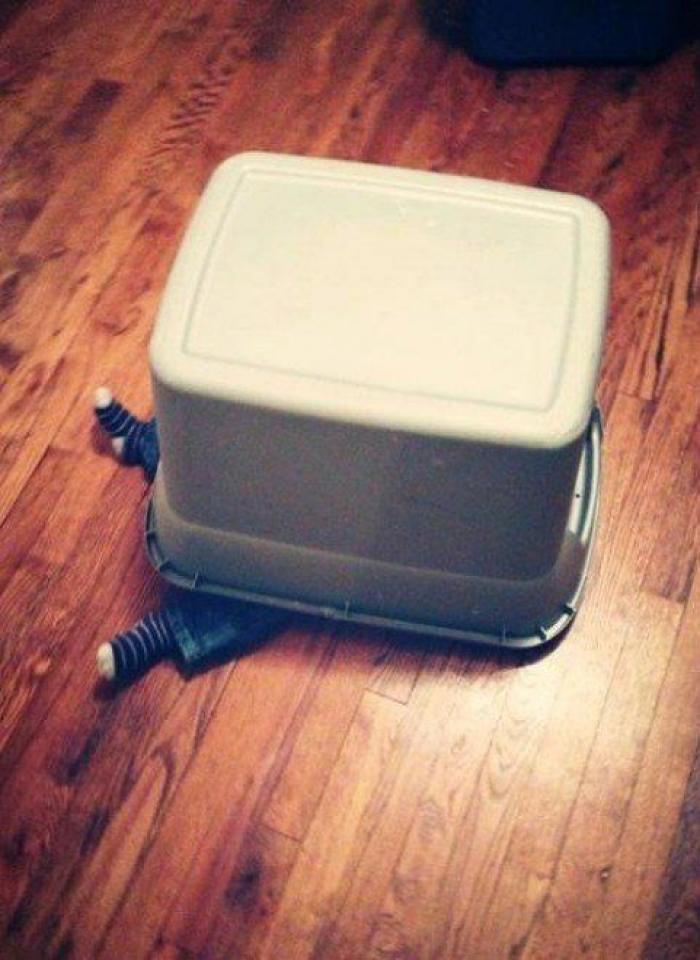 Su reacción al enterarse de que va a ser abuelo te alegrará el finde (VÍDEO)