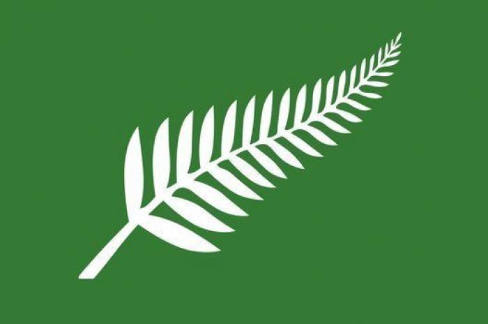 Nueva Zelanda asegura "haber ganado la batalla al Covid" y se prepara para el desonfinamiento