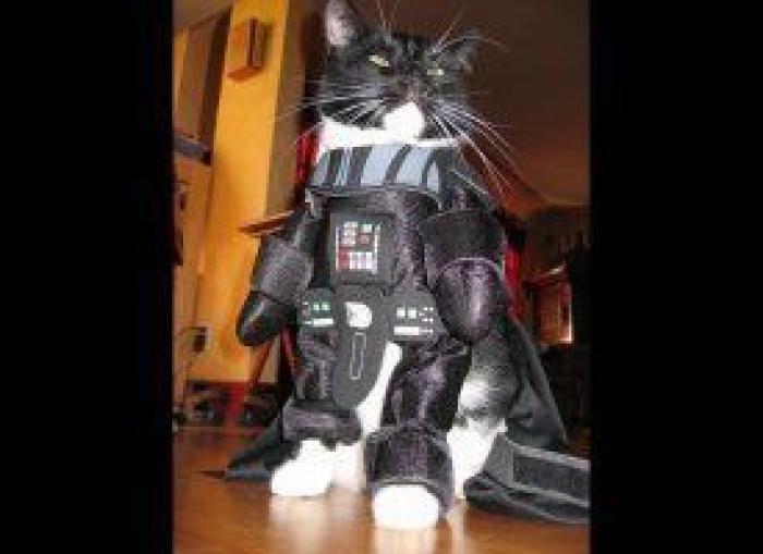 El disfraz de Zara que ha triunfado en Carnaval (pero no es como te esperas)