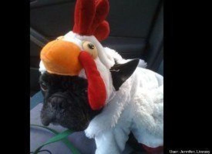 El disfraz de Zara que ha triunfado en Carnaval (pero no es como te esperas)