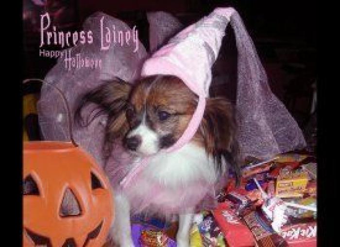 El disfraz de Zara que ha triunfado en Carnaval (pero no es como te esperas)