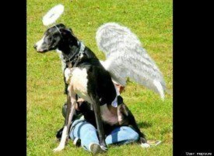 El disfraz de Zara que ha triunfado en Carnaval (pero no es como te esperas)