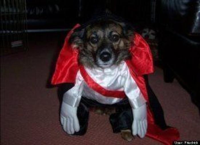 El disfraz de Zara que ha triunfado en Carnaval (pero no es como te esperas)