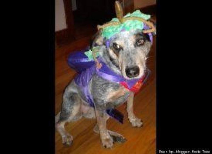 El disfraz de Zara que ha triunfado en Carnaval (pero no es como te esperas)