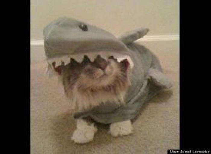 El disfraz de Zara que ha triunfado en Carnaval (pero no es como te esperas)