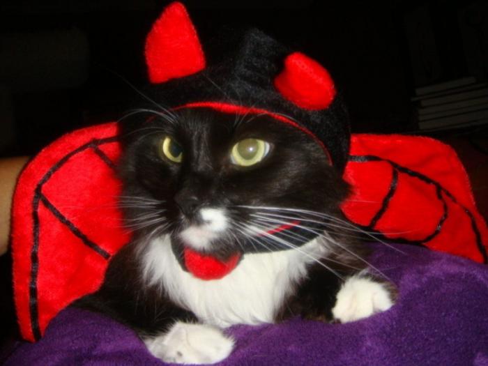 El disfraz de Zara que ha triunfado en Carnaval (pero no es como te esperas)