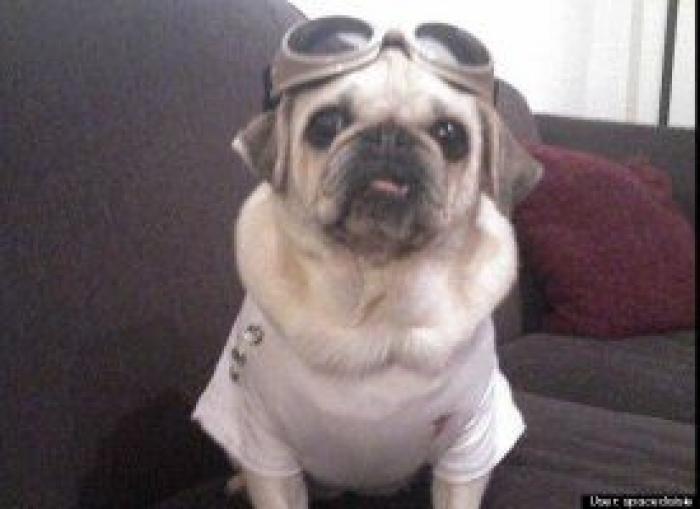 El disfraz de Zara que ha triunfado en Carnaval (pero no es como te esperas)