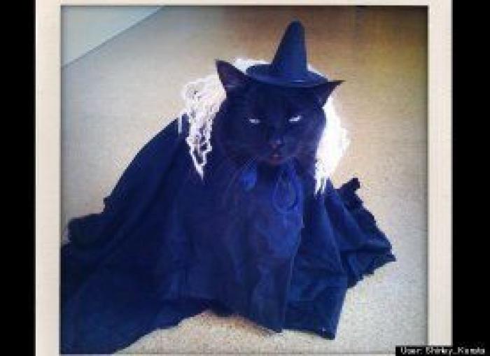 El disfraz de Zara que ha triunfado en Carnaval (pero no es como te esperas)