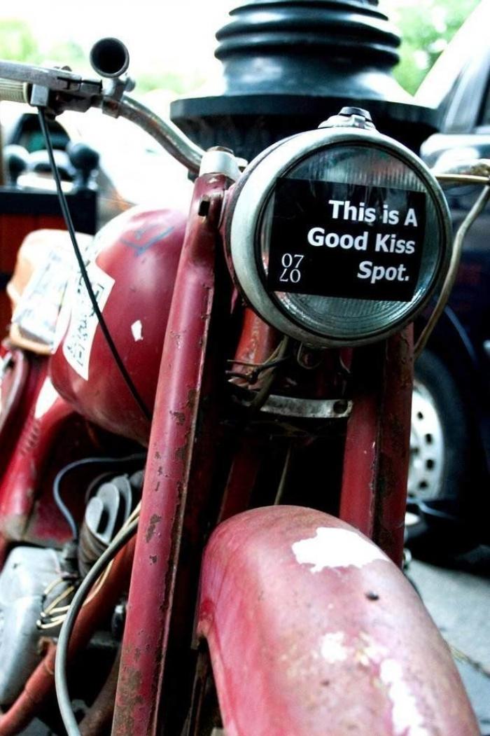 El beso perfecto: en busca del tesoro (FOTOS)